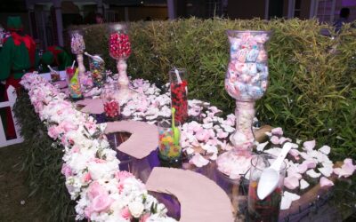 Organización de 15 años en Sangolqui